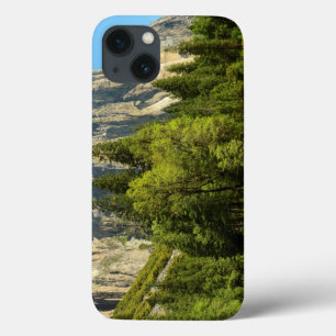 Coques Pour iPhone Yosemite depuis le fond de la vallée, Sierra-Nevad