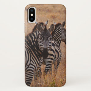 Case-Mate iPhone Case Zèbre au Kenya