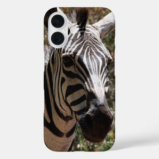 Coques Case-Mate iPhone zèbre souriant (Verso)