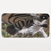 Coques Case-Mate iPhone zèbre sourit (Dos (Horizontal))