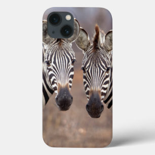 Coques Pour iPhone Zèbres des plaines, parc national Kruger