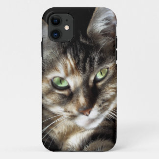 Etui iPhone Case-Mate Zen Kitty
