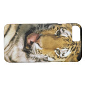 Coques Case-Mate iPhone Zoo de Tiger Michigan (Dos (Horizontal))
