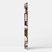 Coques dans la boue (Verso / Droite)