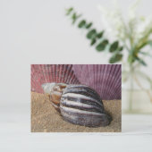 Coques dans la carte postale de sable (Debout devant)