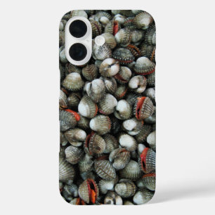 Coques de coques de sang
