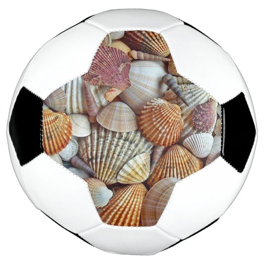 Coques de mer (Tourné)