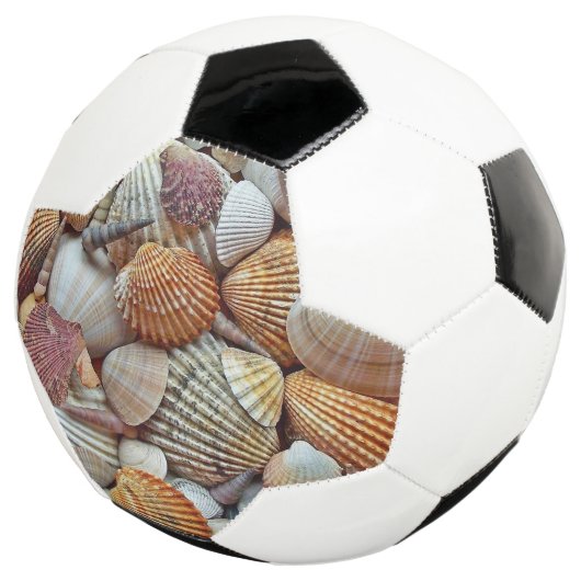 Coques de mer (3/4)