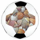 Coques de mer (Devant)