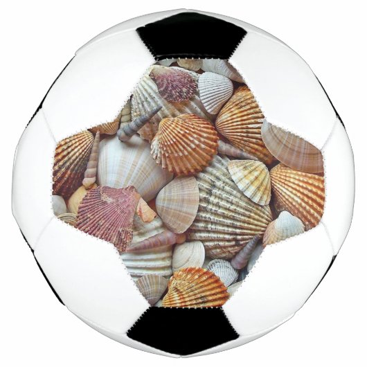 Coques de mer (Devant)