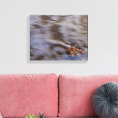 Coques de mer en toile étirée Surf Imprimer (Insitu(Salon))