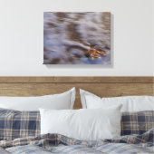 Coques de mer en toile étirée Surf Imprimer (Insitu(Chambre))