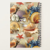 Coques de mer sur la plage (Dos)