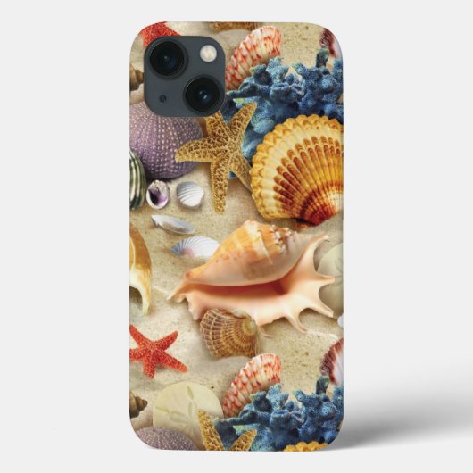 Coques de mer sur la plage (Verso)