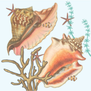 Coques Grasses de poisson Starfish, Stickers de vi