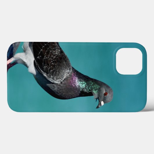 Coques iphone Rock Pigeon (Verso (horizontal))
