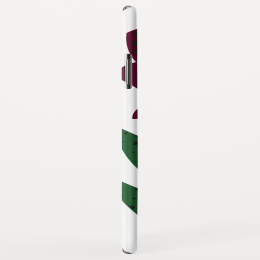 coques max iPhone XS (Dos/Droite)