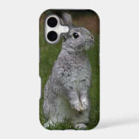 Coquet bébé lapin coque iPhone 5