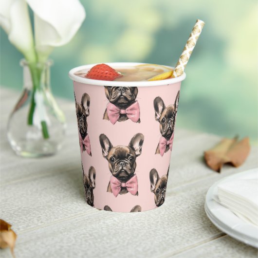 Coquette Frenchie Papieren Bekers (Insitu)