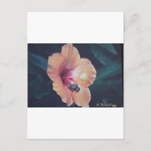 COQUI BRIEFKAART (Voorkant)