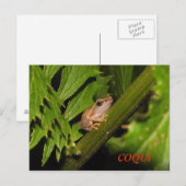 Coqui-Briefkaart Briefkaart (Voorkant / Achterkant)