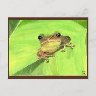 Coqui de Puerto Rico Postcard Briefkaart