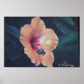 COQUI POSTER (Devant)