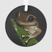 Coqui Puerto Rico Ornament (achterkant)