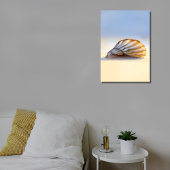 Coquillage sur toile de sable