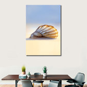 Coquillage sur toile de sable