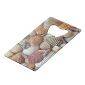 Coquillages (Devant Angle)