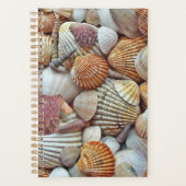 Coquillages (Devant)