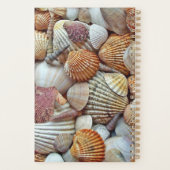 Coquillages (Dos)