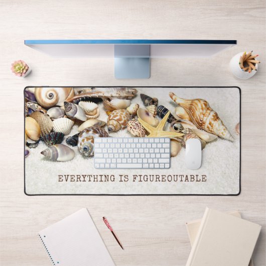 Coquillages (Bureau 1)