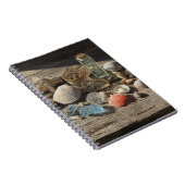 Coquillages Coral Collection Carnet côtier (Côté Droit)