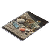 Coquillages Coral Collection Carnet côtier (Côté gauche)