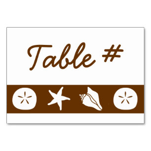 Coquillages d'été dans la carte de table au chocol