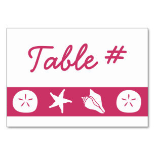 Coquillages d'été sur carte de table noire