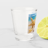 Coquillages en verre (Gauche)