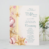 Coquillages et accessoires colorés Aqua Programme  (Debout devant)