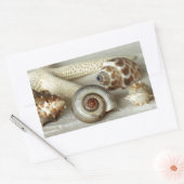 Coquillages et autocollants de plage d'étoiles de  (Enveloppe)