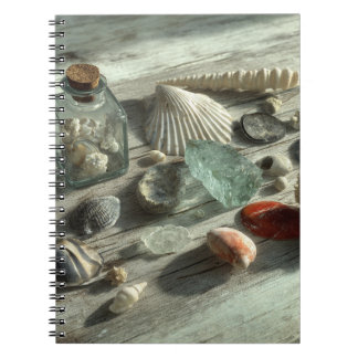 Coquillages et Carnet de verre marin