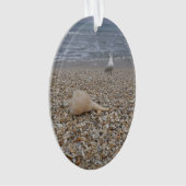 Coquillages et mouettes (devant)