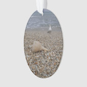 Coquillages et mouettes (devant)