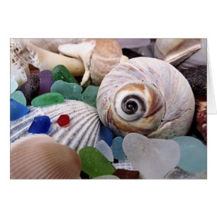 Coquillages et verre marin