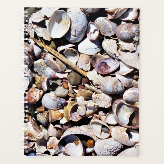 Coquillages Lg Planner (Devant)