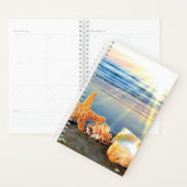 Coquillages marins et étoiles de mer sur la plage (Devant avec enveloppe)