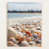 Coquillages marins sur la plage (Devant)