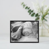 coquillages sable blanc bw rsvp (Debout devant)