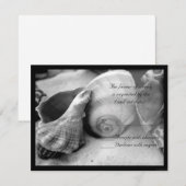 coquillages sable blanc bw rsvp (Devant / Derrière)